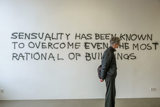 Monica Bonvicini, Sensuality Has Been Known