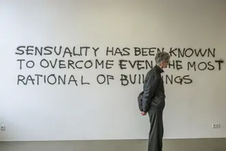 Monica Bonvicini, Sensuality Has Been Known