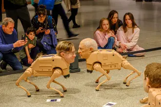 Neue Nationalgalerie: Ausstellung: 'Regular Animals'