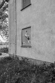 Insel Ruden: frühere NVA-Kaserne