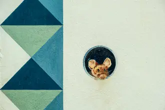 Puerto de la Cruz: kleines Wandbild o.A.