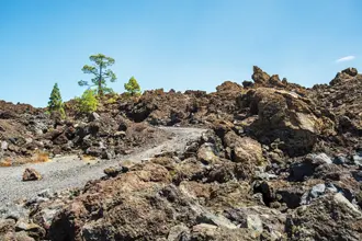 Teneriffa: Lavafelsen